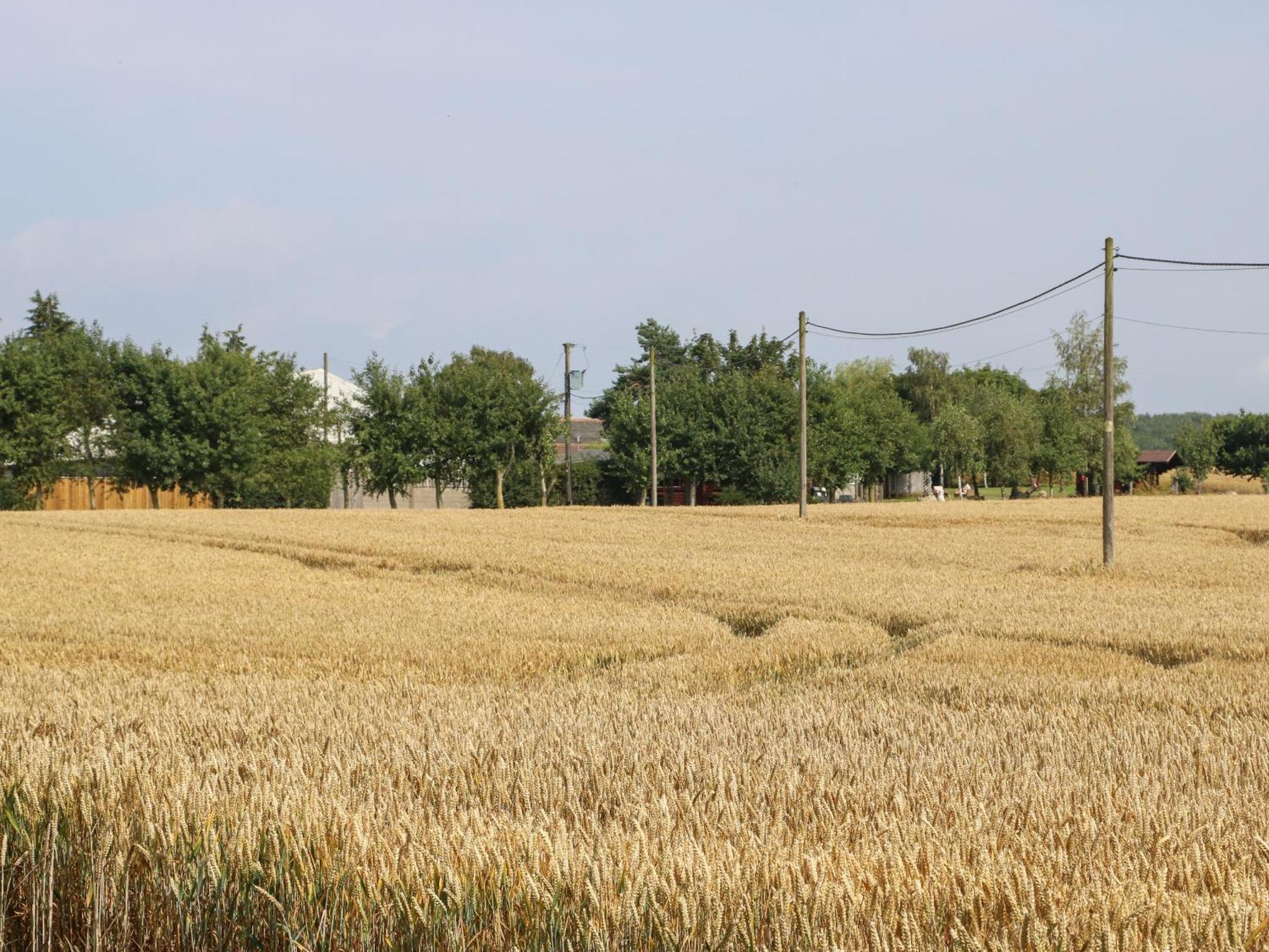 Cornfield Villa Northallerton Exterior photo
