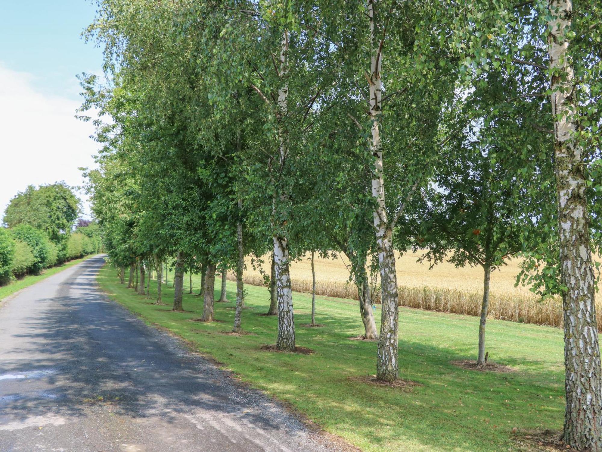 Cornfield Villa Northallerton Exterior photo